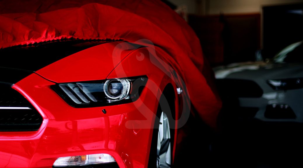 Mu Stang